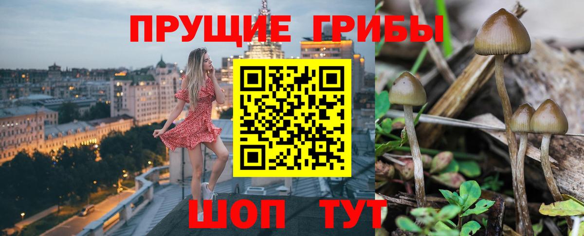 наркошоп  Псилоцибиновые грибы прущие грибы  Вход с VPN  Семёнов 